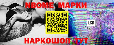 СК Бердск
