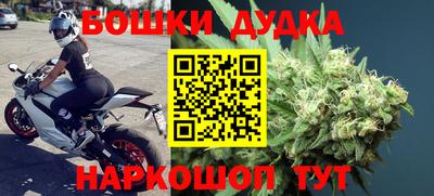 СК Бердск