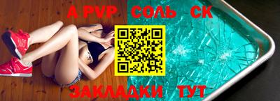 СК Бердск