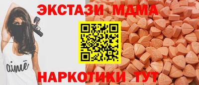 СК Бердск