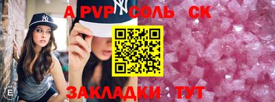 СК Бердск