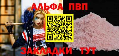 СК Бердск