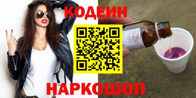 СК Бердск