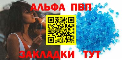 СК Бердск