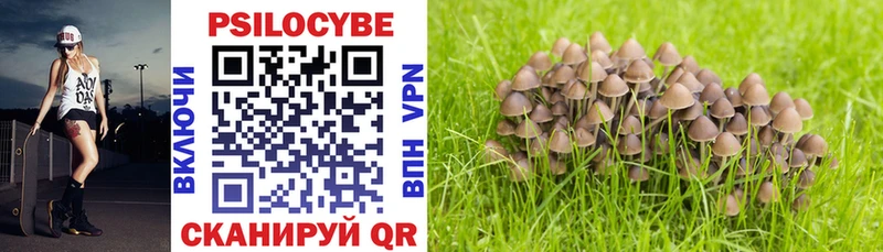 Псилоцибиновые грибы MAGIC MUSHROOMS  купить  цена  Владимир 